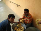 Voluntariado